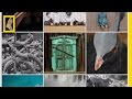 National Geographic Website Features