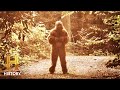 Mysterious Sounds and Activities