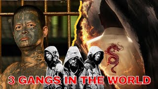 3 Terrifying Gangs In the World! | Malayalam