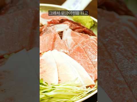 참치 1마리가 38억에 팔린 이유ㄷㄷ