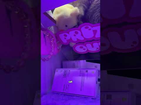 Claw Queen Day 18 DOMINATION! #clawmachine #arcade