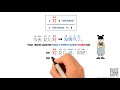Exploring the Use of 对 as a Preposition in Chinese