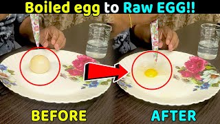 The Amazing Bouncing Egg Trick Using Vinegar and Egg Bouncing