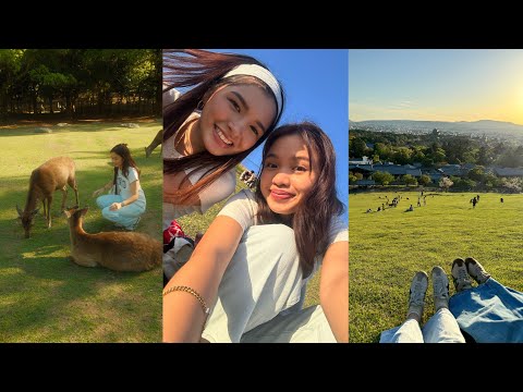 alone in japan (our parents left us) ⛰️🍵