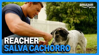 Reacher salva cachorro de maus tratos