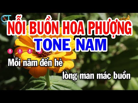 Karaoke Nỗi Buồn Hoa Phượng Tone Nam ( Am ) Nhạc Sống Tuấn Kiệt