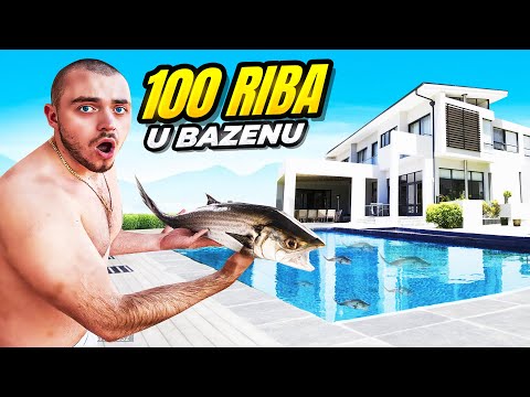 NAPUNIO SAM BAZEN U VILLI SA 100 RIBA! *izbacili nas*