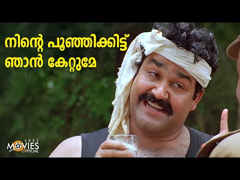 നിന്റെ പൂഞ്ഞിക്കിട്ട് ഞാൻ കേറ്റുമേ | Olympian Anthony Adam | Mohanlal | Malayalam Movie Scenes