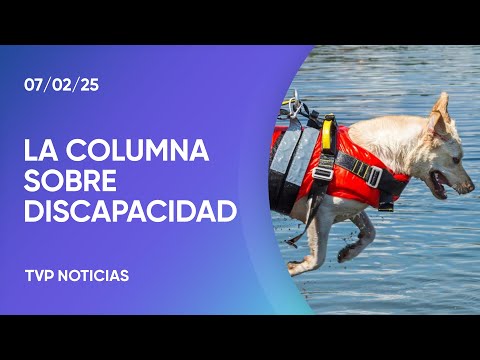 Cómo trabajan los animales entrenados para asistir en desastres a personas con discapacidad