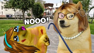 una LADY con DERECHO me R0BÓ y mi PADRE la METIO a la C4RCEL | Hilos Con Cheems