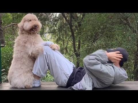 Mountain Gym Workout with My Dog!