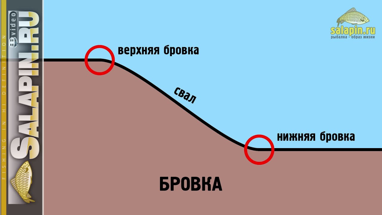 Что такое бровка, русло, стол, полив и другие страшные термины