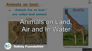 Animals on Land, Air and In Water