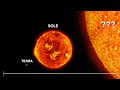 ვიდეო გაკვეთილის ქვიზი