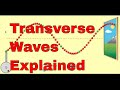 Exploring Transverse Waves with pHET Animation