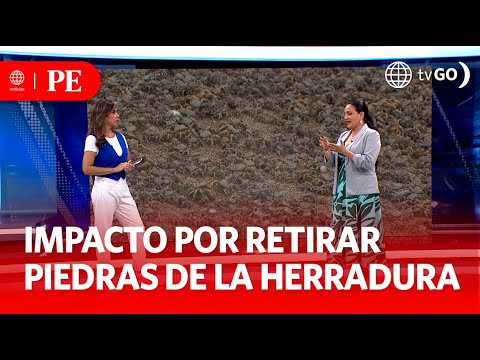 El impacto en cangrejos tras cambios en La Herradura | Primera Edición | Noticias Perú