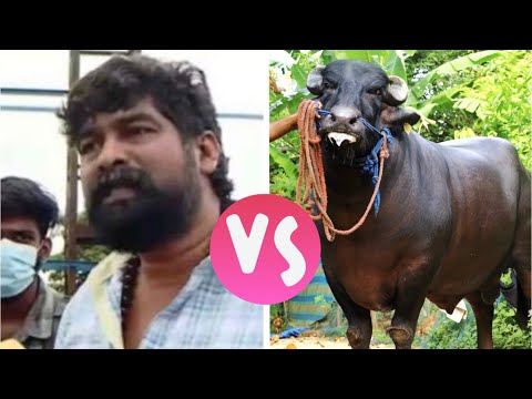 JOJU GEORGE vs COMMONDO | ജോജു ജോർജ് #shorts