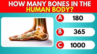 General Knowledge Quiz | Test Your Brain!