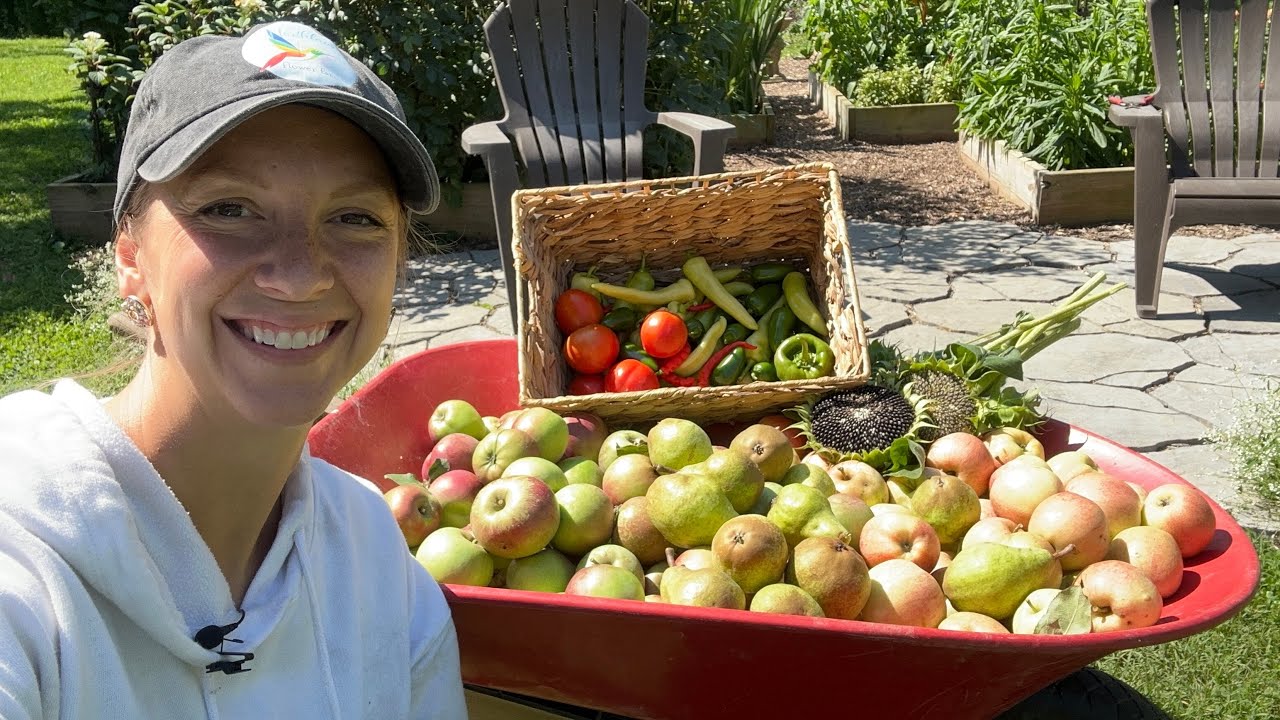 Bountiful Summer Harvest, Saving Cut Flower Seeds, Trick for Removing Chaff from Seed + Tomato Pie