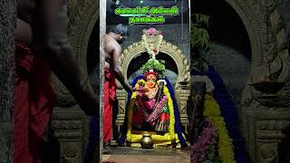 நாமக்கல் காமாட்சி அம்மன் இன்றைய தரிசனம்🙏#aadivelli#maadurga#maakali#kamatchiamman#omsakthi#shorts#om