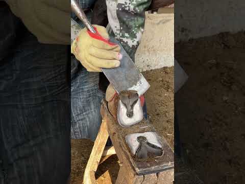 Don't paddle away! Too decompressing丨ASMR丨Donkey hoof cutting sound