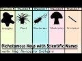 Understanding Dichotomous Keys and Scientific Names