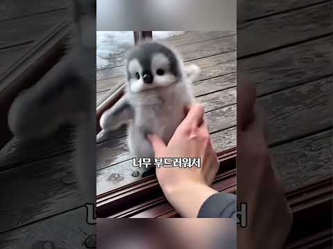 온라인을 뒤집은 3000만뷰 영상