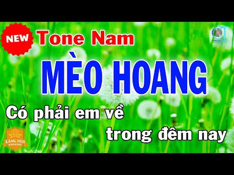 Mèo Hoang Karaoke Tone Nam Nhạc Sống Trữ Tình | Làng Hoa Karaoke