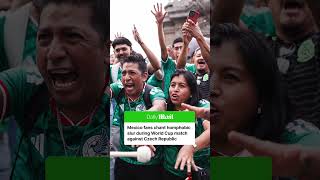Towards the end of the first half of the World Cup match up between Mexico and Czech Republic, fans