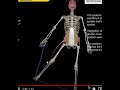 Understanding the Basics