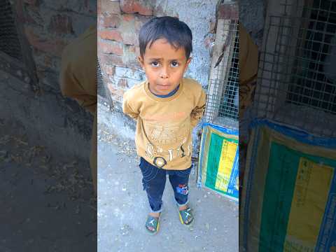 chanddu ek dafa fir se kabutar laya 🕊️❤️👍#viral#video#youtubeshorts