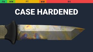 Ursus Knife Case Hardened Wear Preview