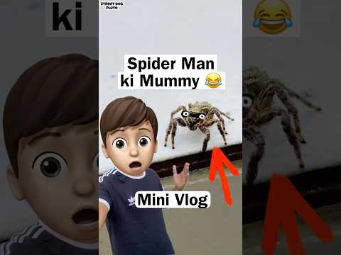 Meet Spider Man Mother 😂 #minivlog