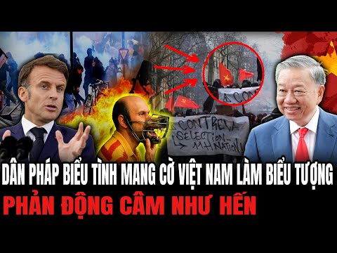 Dân Pháp Biểu Tình Mang Cờ Việt Nam Làm Biểu Tượng: Phản Động Câm Như Hến | Hiểu Rõ Hơn