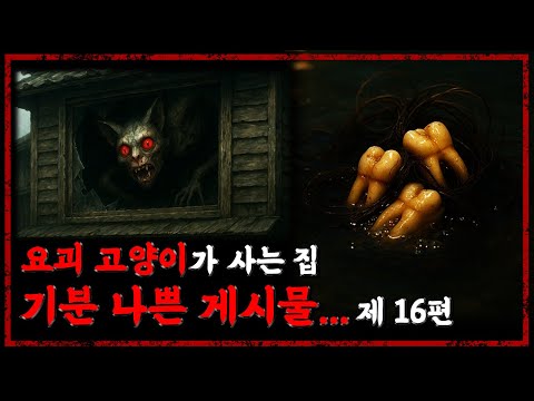 저 집에, 요괴 고양이가 산대...같이 가보자 - 기분나쁜 게시물 제 16편 - [무서운 이야기][일본괴담] - 숫노루TV