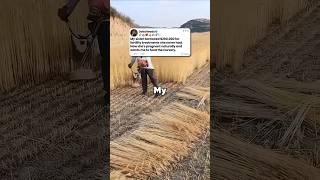 My sister borrowed $200K for fertility treatments she never had. Now she's pregnant and wants more.