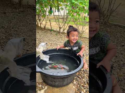 Kok malah ikutan jadi ikan