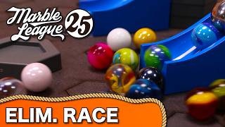 Which Marble will SURVIVE? 🧲 Marble League 2025 E15