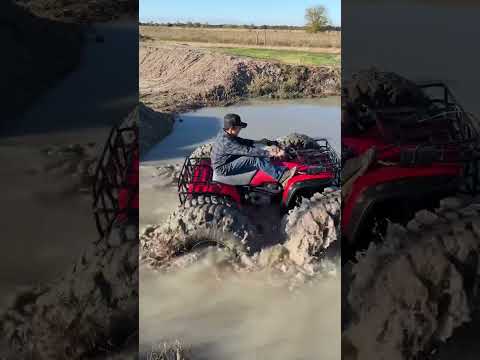 Fourtrax sittin on 44”s. #hondaatv #mudding