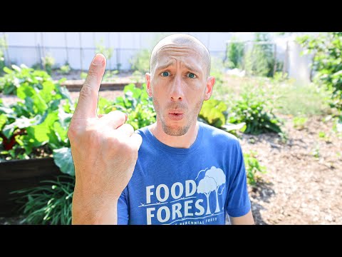 Doing This ONE THING Tricks Crops to NEVER Stop Producing in the Garden
