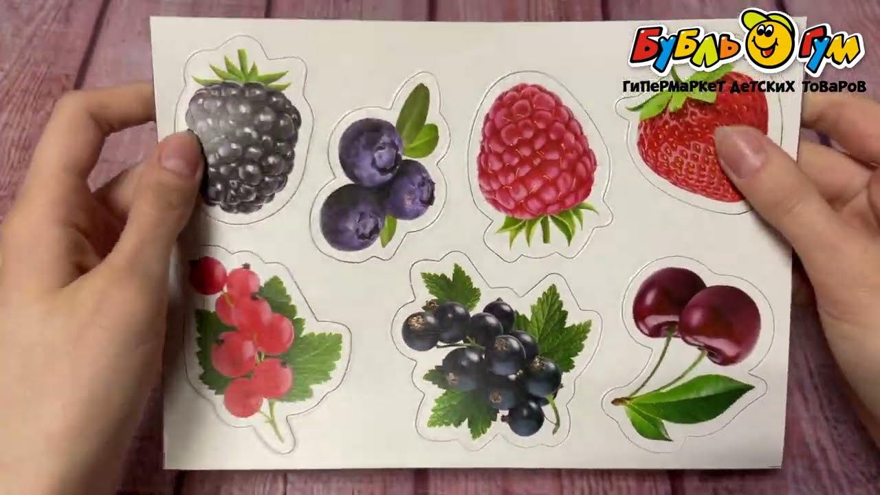 Набор игровой Магнитные истории Ягоды 7дет - видео