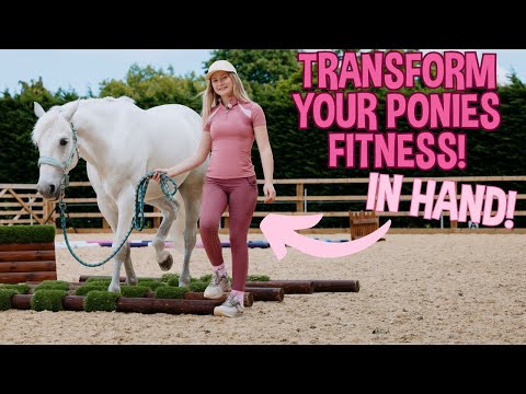 TRANSFORM YOUR PONIES FITNESS... IN HAND! HARLOW'S HORSEY SCHOOL