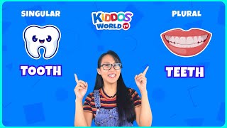 Learn Singular and Plural Words for Kids | Fun Learning with Miss V | Teaching  English Vocabulary