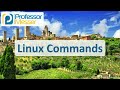 Linux Command Line Essentials