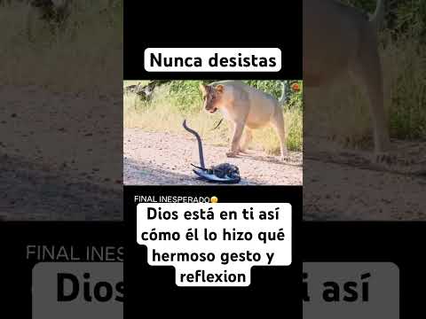 Qué reflexion#biblia #amor #palabradios #diosonrio #viral #reflexion #shorts #shortvideo #reels #fe