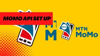 MTN MOMO API-How to apply and Setup MTN MOMO API