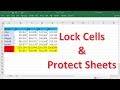 Worksheet Protection and Formatting Concepts