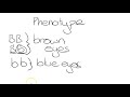 Genotypes and Phenotypes in Genetics