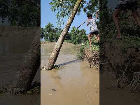 নদীতে ট্যাঠা দিয়ে মাছ শিকার #river fishing #viralvideo