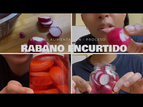 COMO HACER ENCURTIDO DE RÁBANO CASERO vlog de alexandra pajon